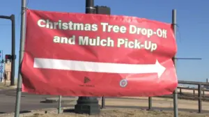 Residentes de Houston reciclan árboles de Navidad naturales como parte de un programa de sostenibilidad urbana