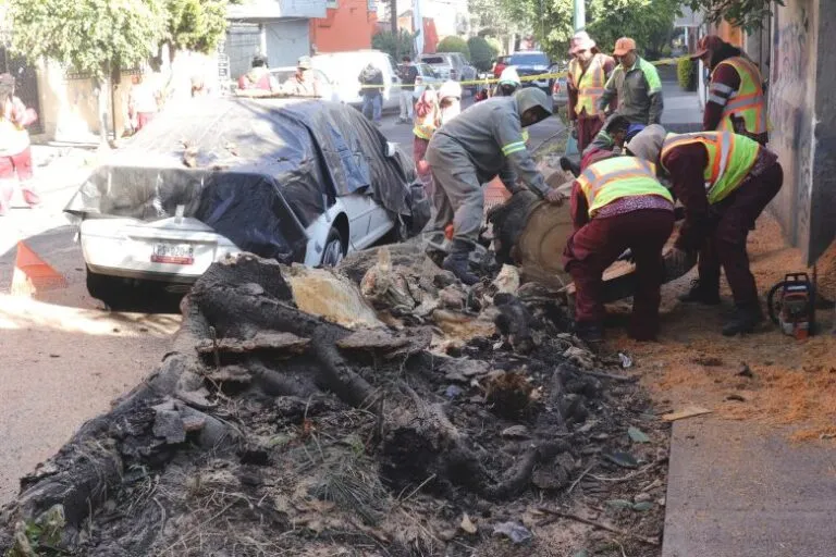 Personas evacuando edificios en Ciudad de México tras sismo México con activación de protocolos de seguridad