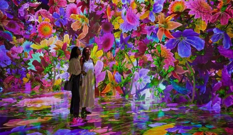 Visitantes recorren Blooming Wonders Houston en ARTECHOUSE, jardín digital interactivo con mariposas y flores tecnológicas.