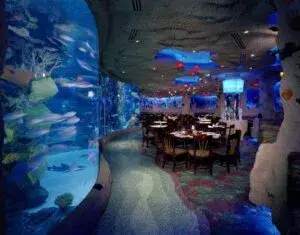 restaurantes familiares en Houston con ambiente para niños y experiencias interactivas