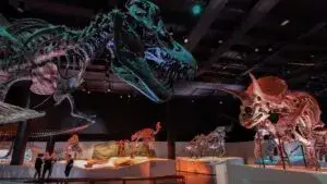 visitantes recorriendo el Museo de Ciencias Naturales entre dinosaurios y exhibiciones científicas
