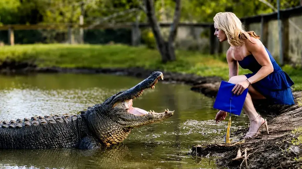 Katalina 'Kat' Daley durante sesión de graduación con enorme caimán en agua dentro de parque de reptiles