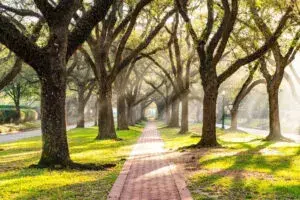 Club de golf exclusivo en Houston con campo histórico, acceso privado y ubicación dentro de la prestigiosa zona de River Oaks.