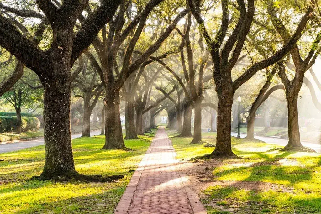Club de golf exclusivo en Houston con campo histórico, acceso privado y ubicación dentro de la prestigiosa zona de River Oaks.