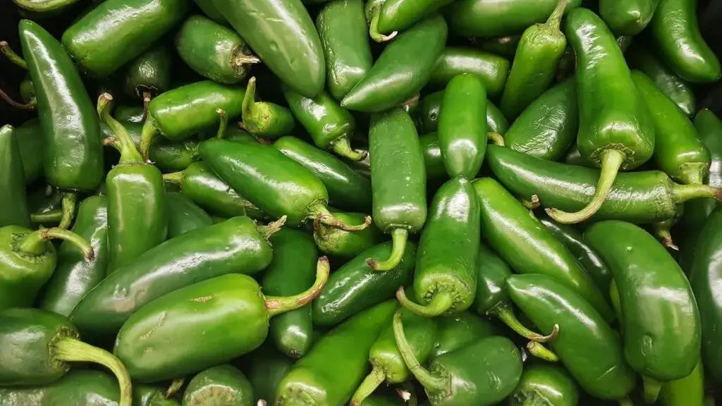 Brote de salmonela relacionado con jalapeños investigado por autoridades sanitarias en Estados Unidos