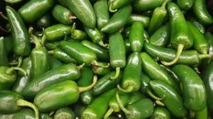 Brote de salmonela relacionado con jalapeños investigado por autoridades sanitarias en Estados Unidos