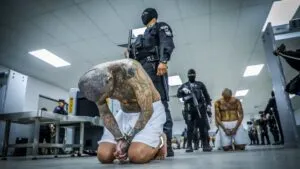 El Salvador enfrenta críticas por juicios masivos, pruebas cuestionadas y limitaciones denunciadas por abogados defensores