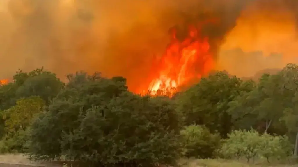 Incendio forestal obliga a realizar evacuaciones en Texas