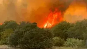 Incendio forestal obliga a realizar evacuaciones en Texas