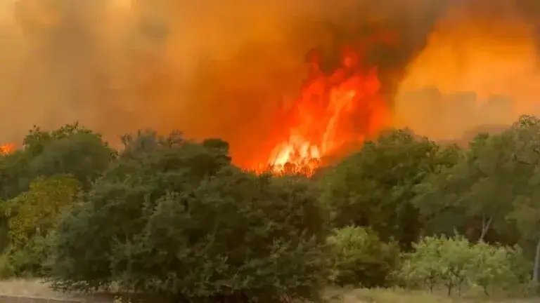 Incendio forestal obliga a realizar evacuaciones en Texas