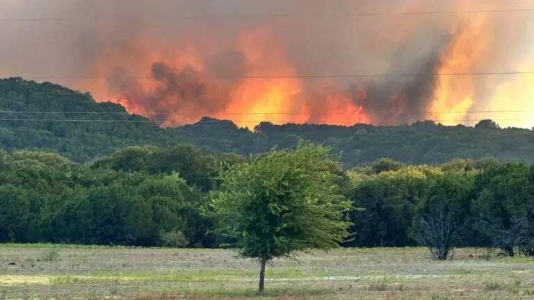 Incendio Hydra amenaza Meridian y mantiene bajo alerta a residentes del condado Bosque en Texas